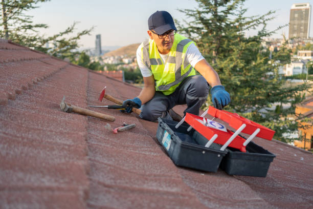 Best Hoarding Cleanup  in Brazoria, TX